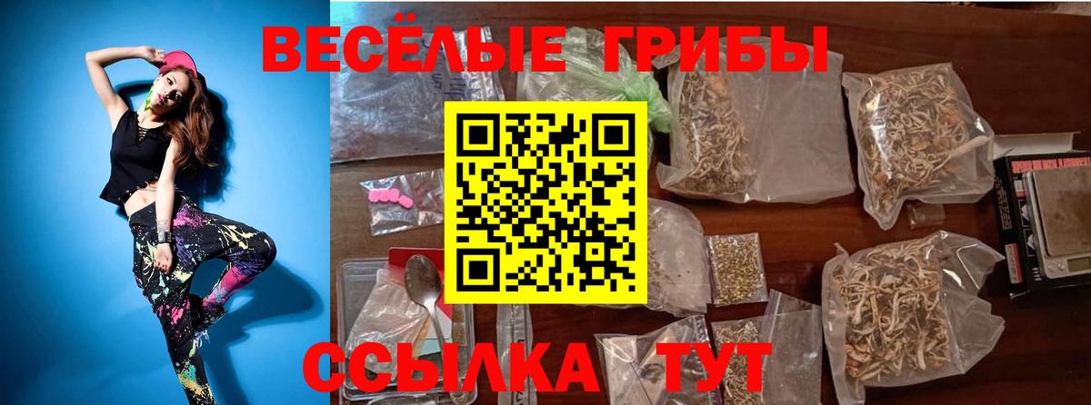 Рассказово  Галлюциногенные грибы Psilocybine cubensis  Вход с VPN 